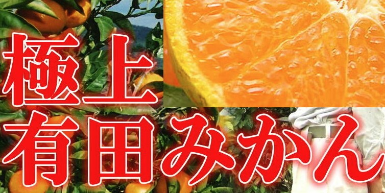 EM�C���L�c�݂���